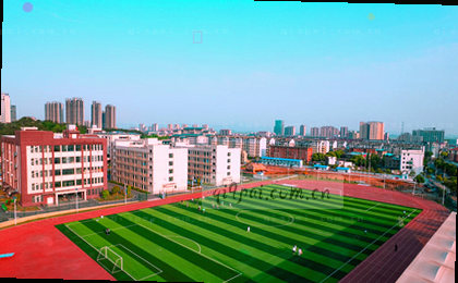 数据从地图上浮起，指尖点击圆点